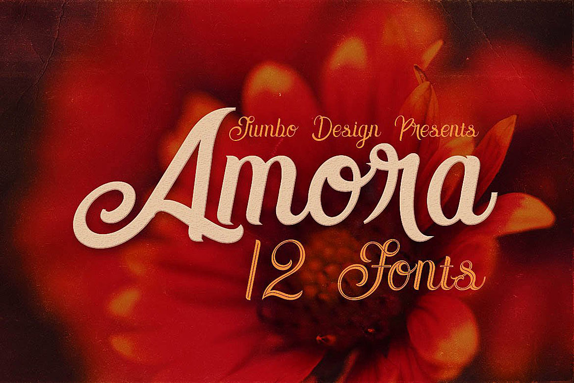 A Guide to the Elegant Amora Script Font Collection