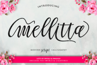 A Guide to the Mellitta Script Handwritten Font
