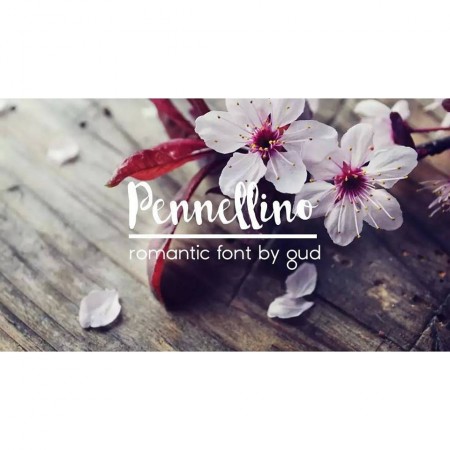 Discover Pennellino: The Perfect Brush Typeface
