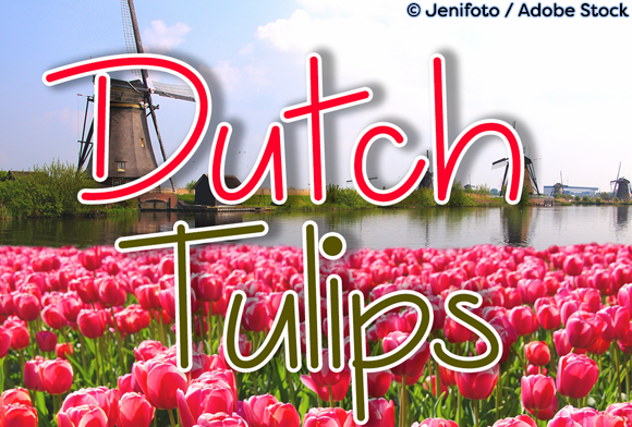 Dutch Tulips: A Signature Font for Signature Projects