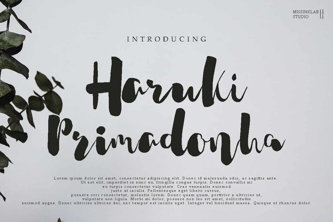 Haruki Primadonha: The Modern Script for Untangling Everyday Complexity