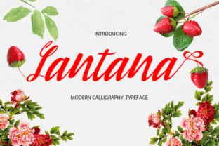 Lantana: A Modern Calligraphy Typeface for Your Practical Creative Workflow
