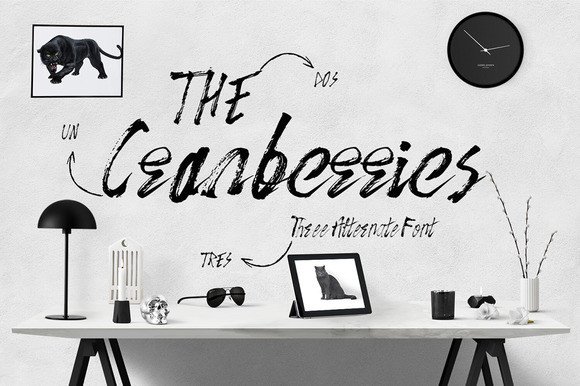 The Cranberries Font: A Functional Elegance for Modern Design